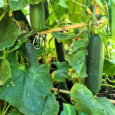 Behappy Holiday home *