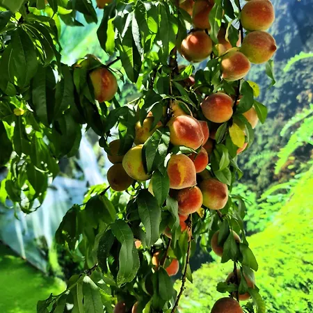 Behappy Feriehus Ferreira do Zêzere