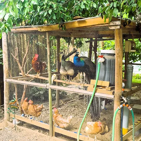 Behappy * Ferreira do Zêzere