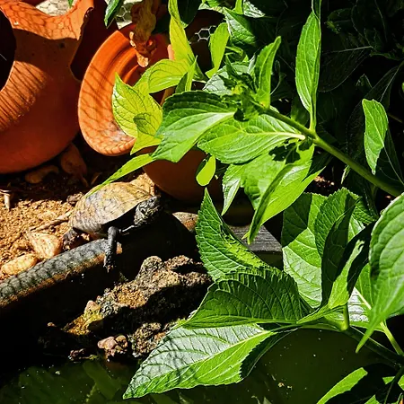 Holiday home Behappy Ferreira do Zezere