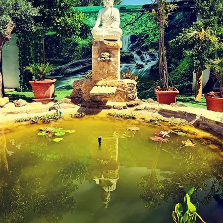 Behappy Feriehus Ferreira do Zêzere