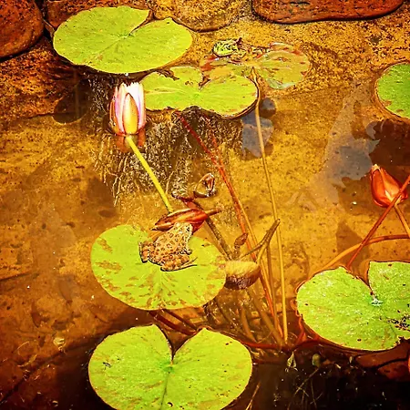 Feriehus Behappy Ferreira do Zêzere
