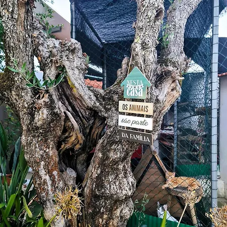 Casa de Férias Behappy