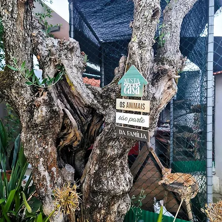 Casa de Férias Behappy