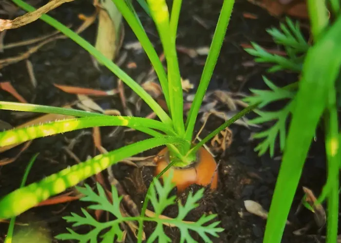 Behappy