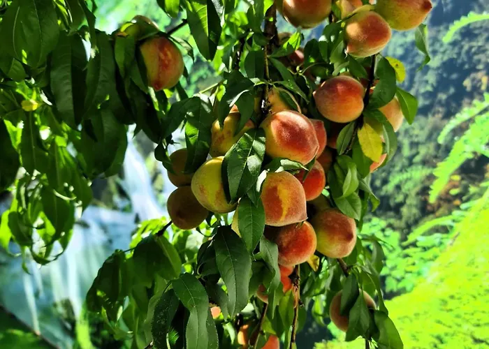 Behappy Nyaraló Ferreira do Zêzere