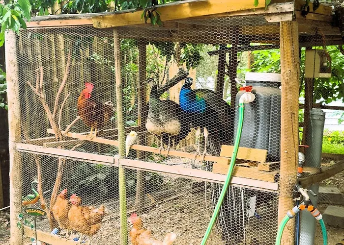 Behappy * Ferreira do Zêzere